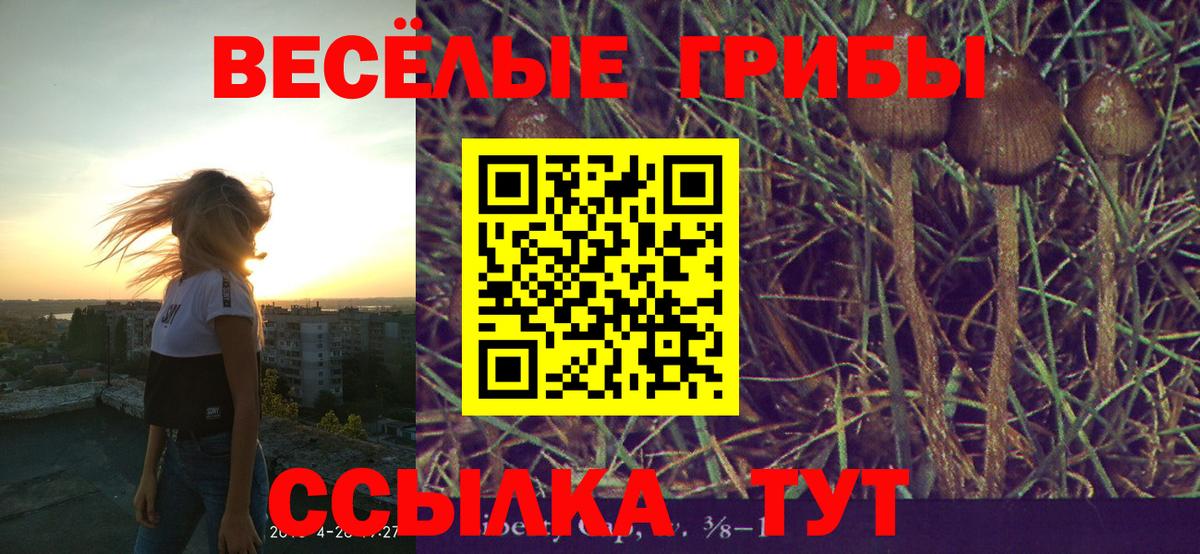 Псилоцибиновые грибы мицелий  Вход с VPN  Моршанск 